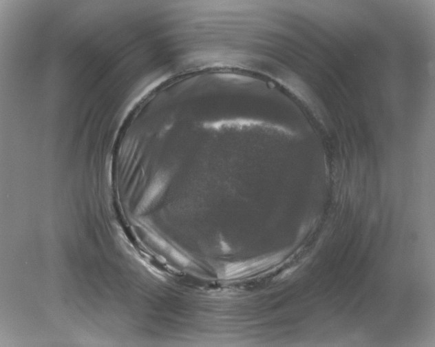 X0000081610790200701291426