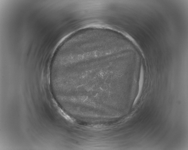 X0000081610791200701291426