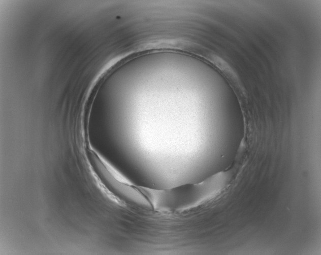 X0000081610792200701291426