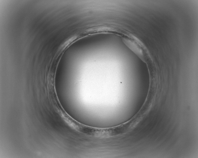 X0000081610793200701291426