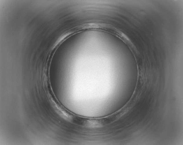 X0000081610794200701291426