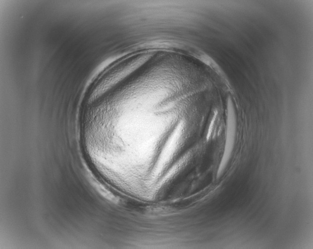 X0000081610795200701291426