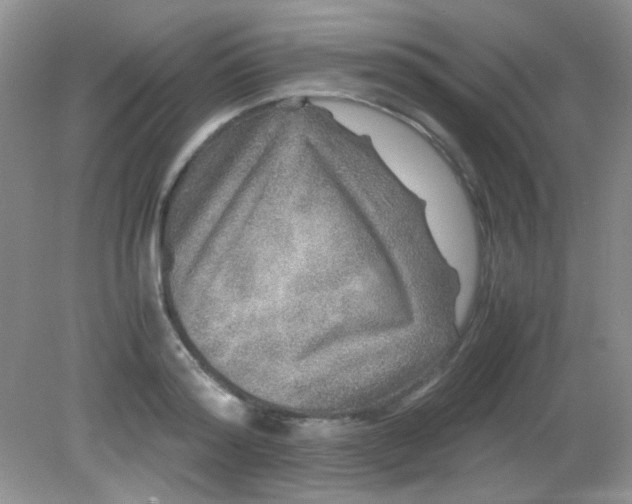 X0000081610796200701291426