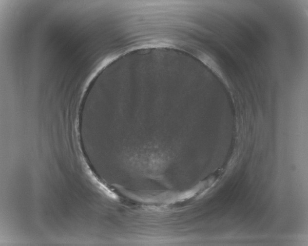 X0000081610797200701291426