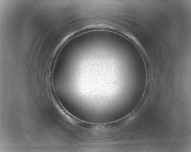 X0000081610799200701291426