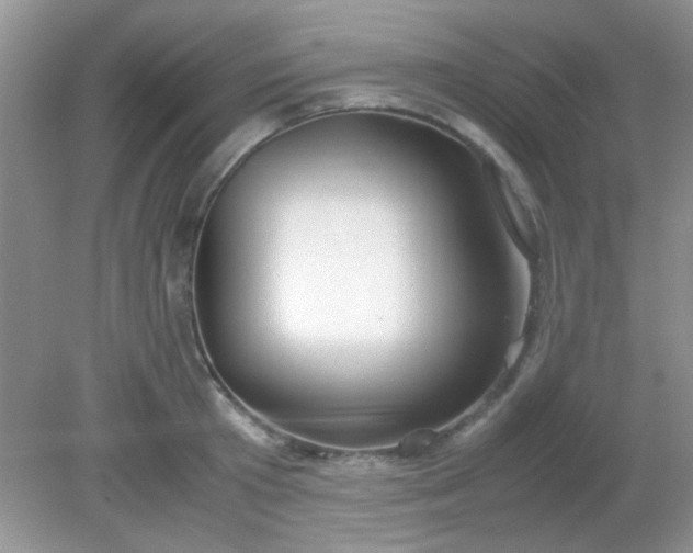 X0000081610801200701291426