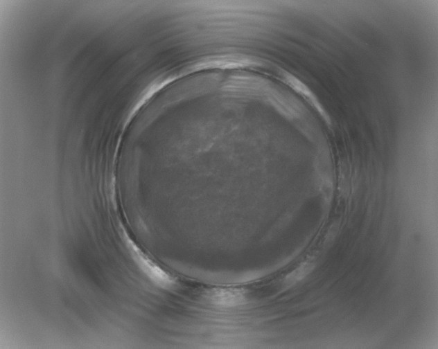 X0000081610802200701291426