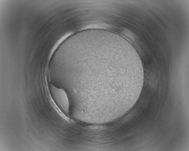 X0000081610804200701291425