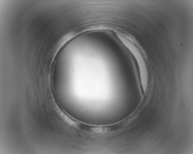 X0000081610805200701291425