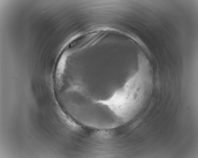 X0000081610806200701291425