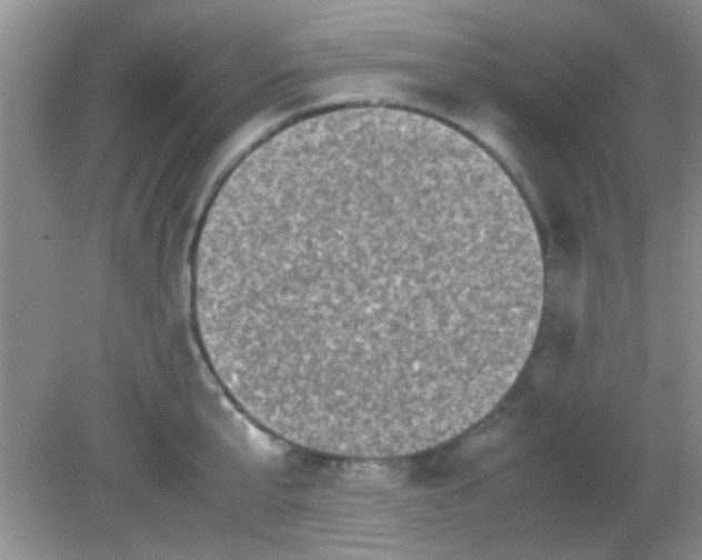 X0000081610807200701291425