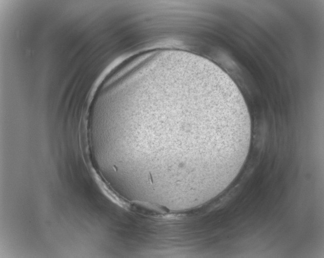 X0000081610808200701291425