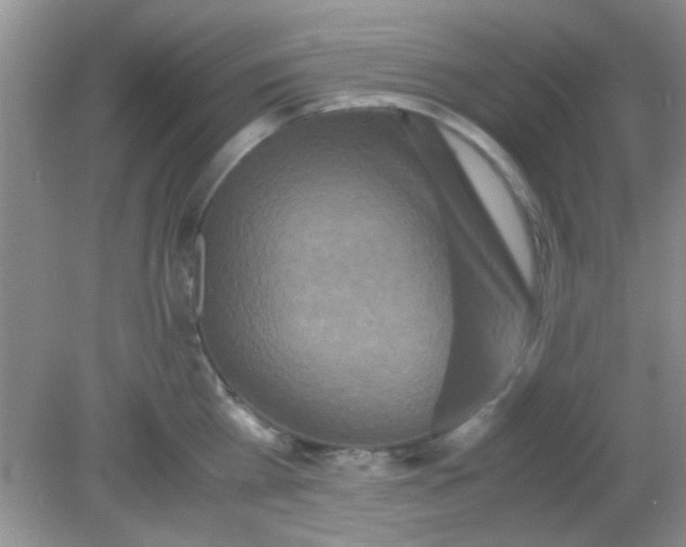 X0000081610809200701291425