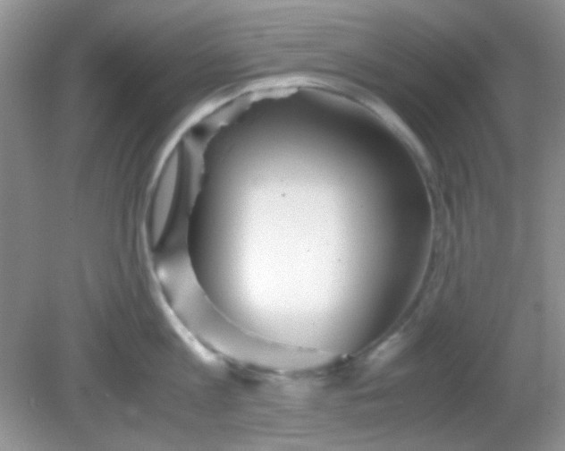 X0000081610813200701291425