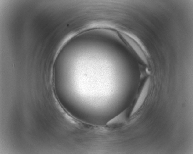 X0000081610815200701291425