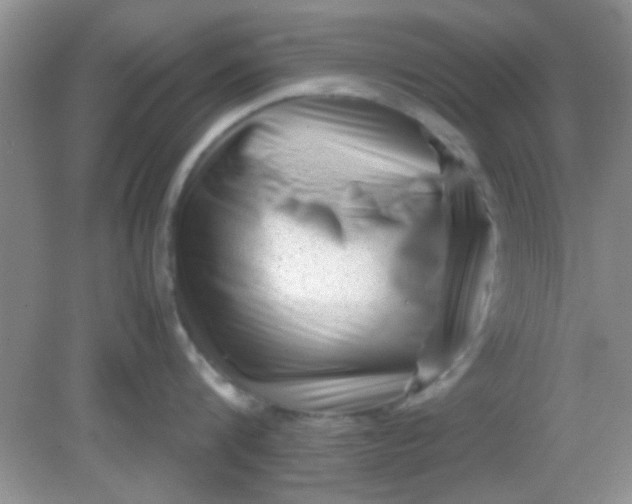 X0000081610816200701291425