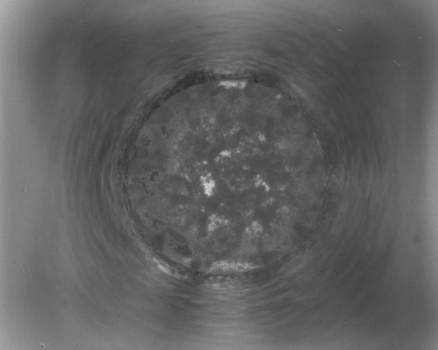 X0000081610817200701291424