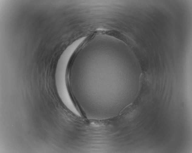 X0000081610818200701291424