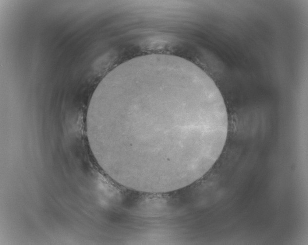 X0000081610820200701291425