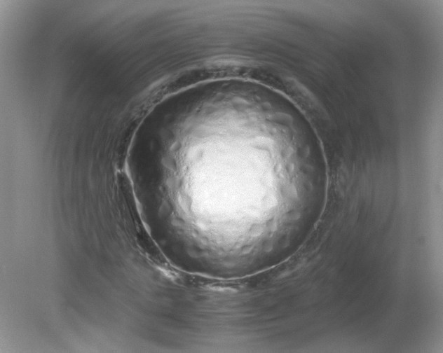 X0000081610821200701291425