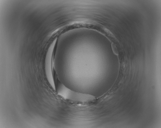 X0000081610822200701291425