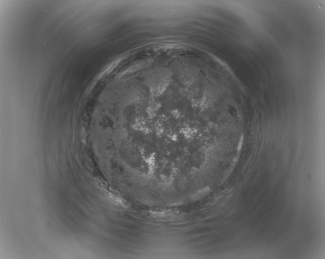 X0000081610823200701291425