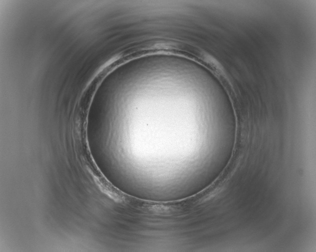 X0000081610827200701291425