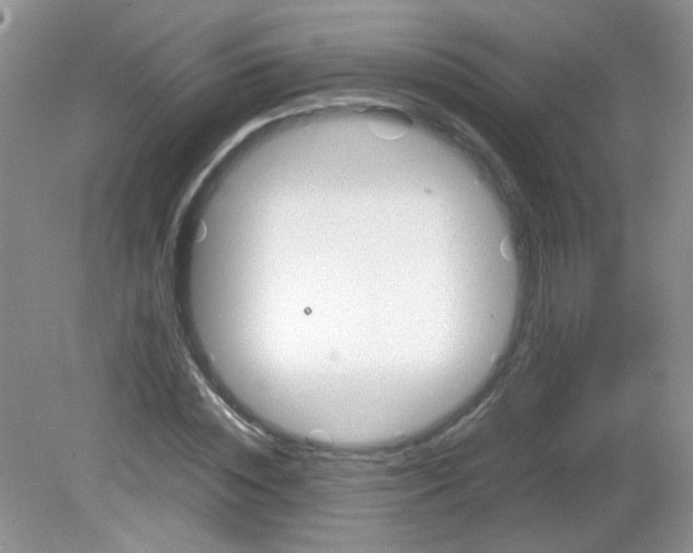 X0000081610828200701291425