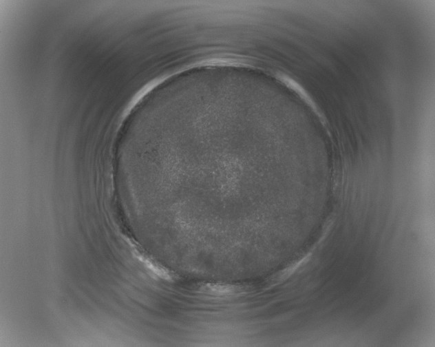 X0000081610829200701291425