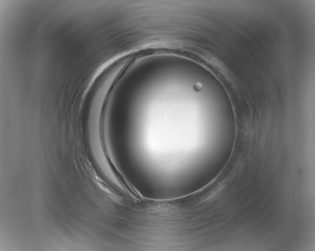 X0000081610830200701291425