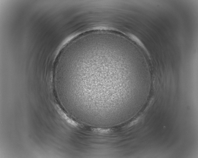 X0000081610831200701291425