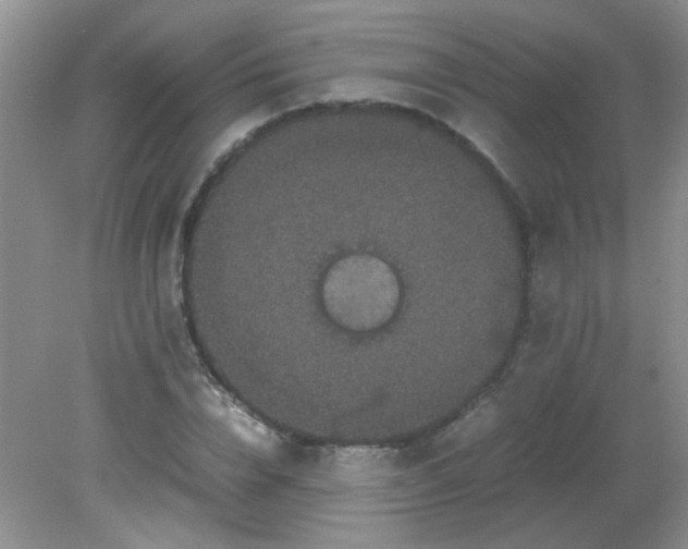 X0000081610832200701291425