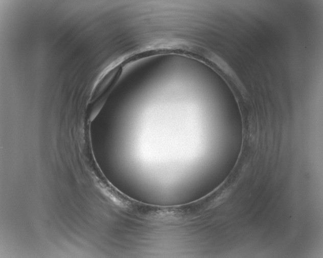 X0000081610834200701291425