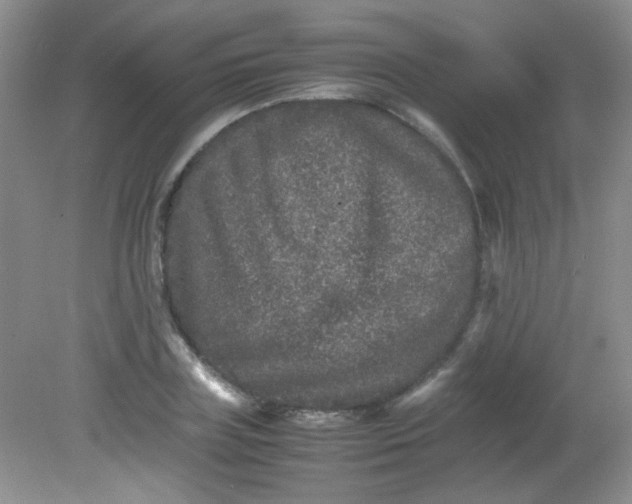 X0000081610835200701291425