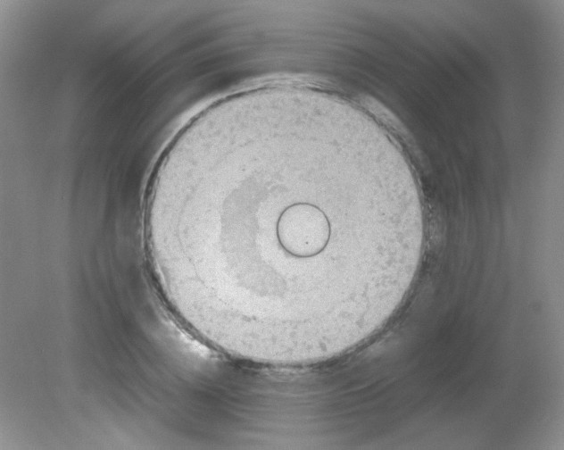 X0000081610836200701291425