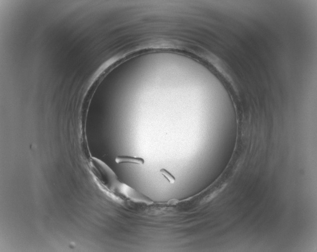 X0000081610837200701291425