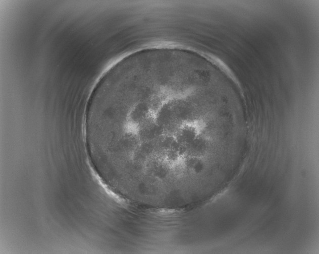 X0000081610839200701291425