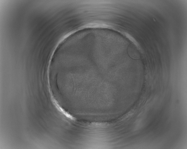 X0000081610840200701291425