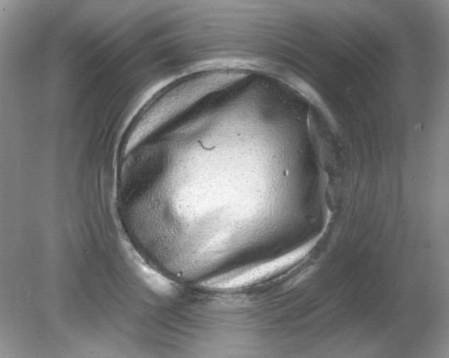 X0000081610844200701291425