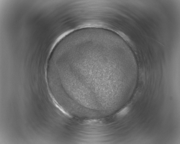 X0000081610846200701291425