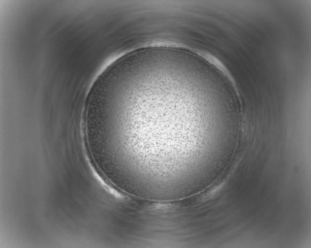 X0000081610847200701291425