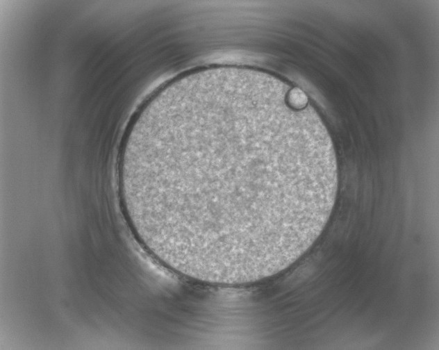 X0000081610848200701291425