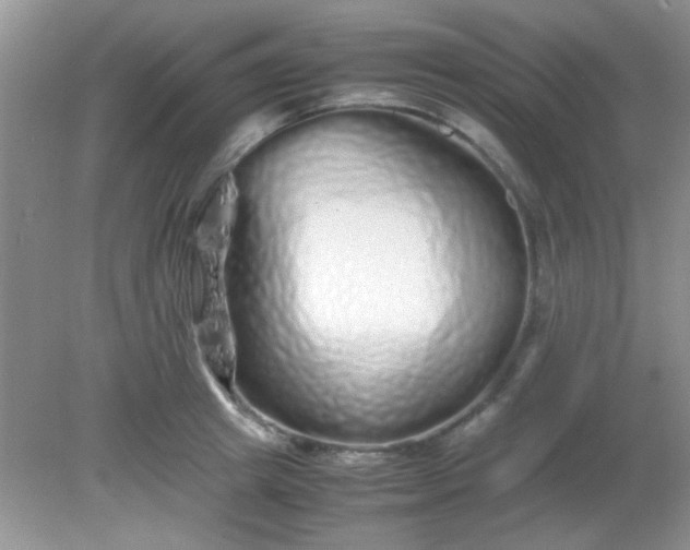 X0000081610849200701291425