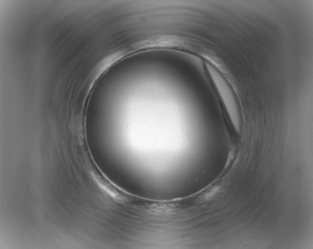 X0000081610850200701291425