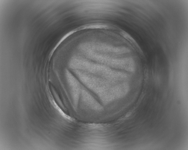 X0000081610852200701291425