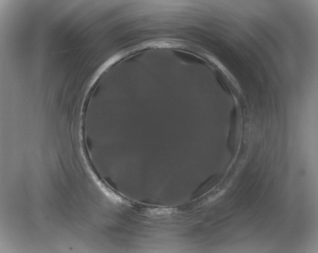 X0000081610853200701291425