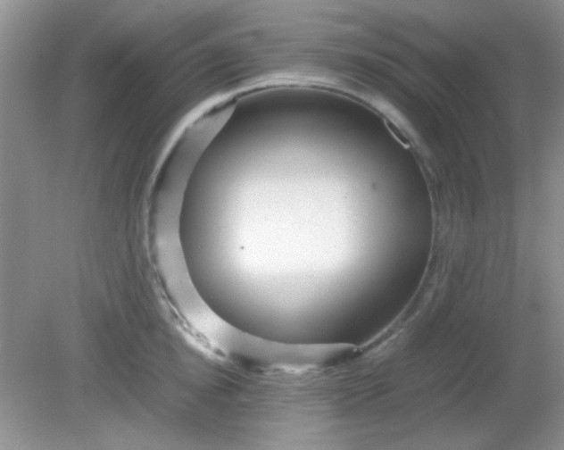 X0000081610854200701291425