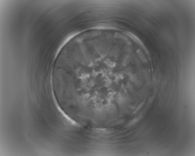 X0000081610855200701291425