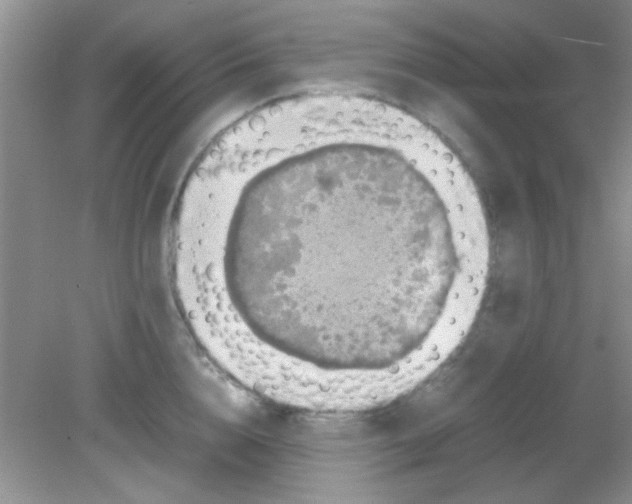 X0000081610856200701291425