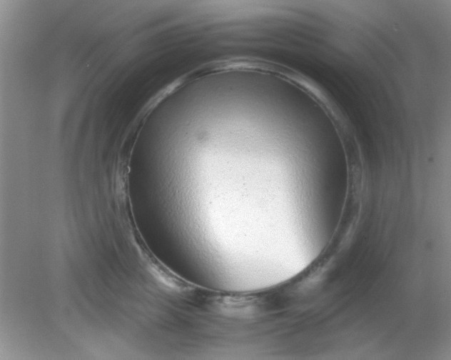 X0000081610857200701291425